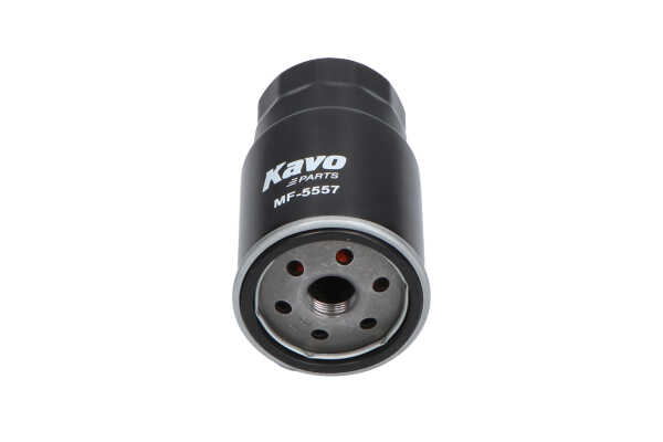 d'origine Filtre à carburant KAVO PARTS GLADIATOR