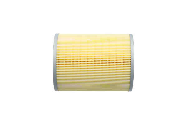 Luftfilter NA-266 KAVO PARTS A654617C11 NISSAN