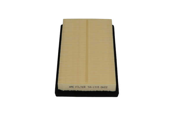 13864377 KAVO PARTS TA1715 Motorluftfilter NX II (AZ20) kostnad