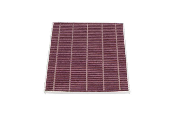 13864431 KAVO PARTS TC1021X DB9 Vantage Pollen filter