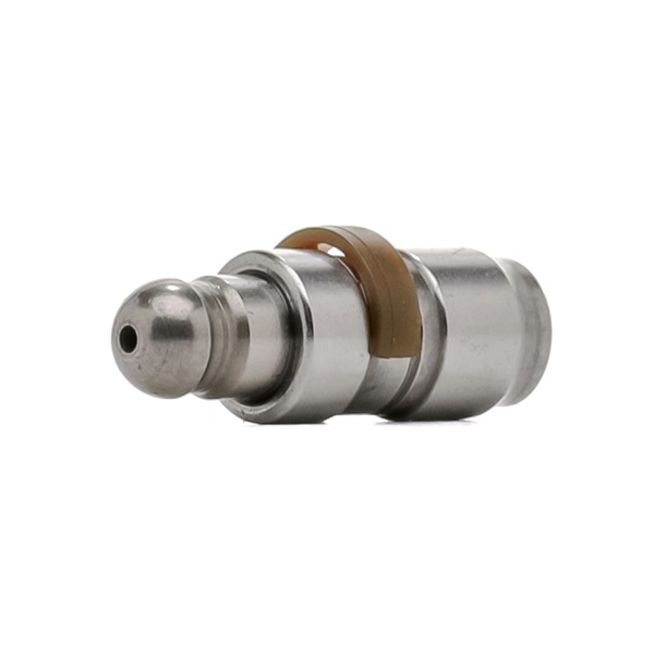 13864680 INA 420026010 Poussoir hydraulique BMW Série 1 2024 prix