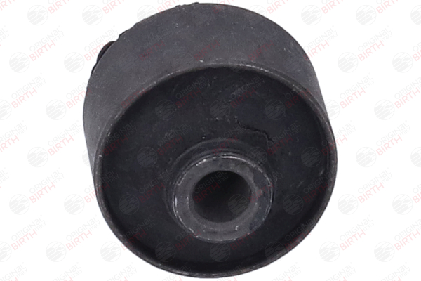 Suspension wishbone arm BIRTH 2955