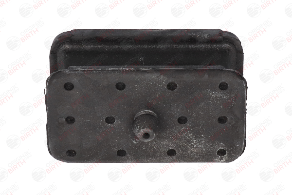 53163 OEM Bladveer BIRTH prijs
