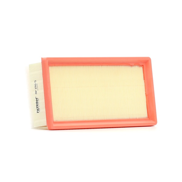FILTRON AP 196/5 Luftfilter