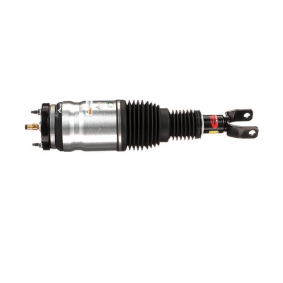 Sospensioni pneumatiche Arnott AS-3017