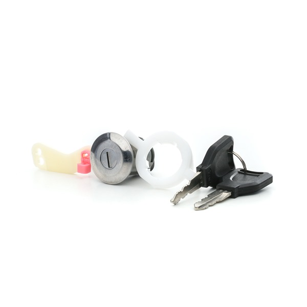 14113020 ELECTRIC LIFE ZR80592 genuine Renault Master 2 Van Door lock barrel price