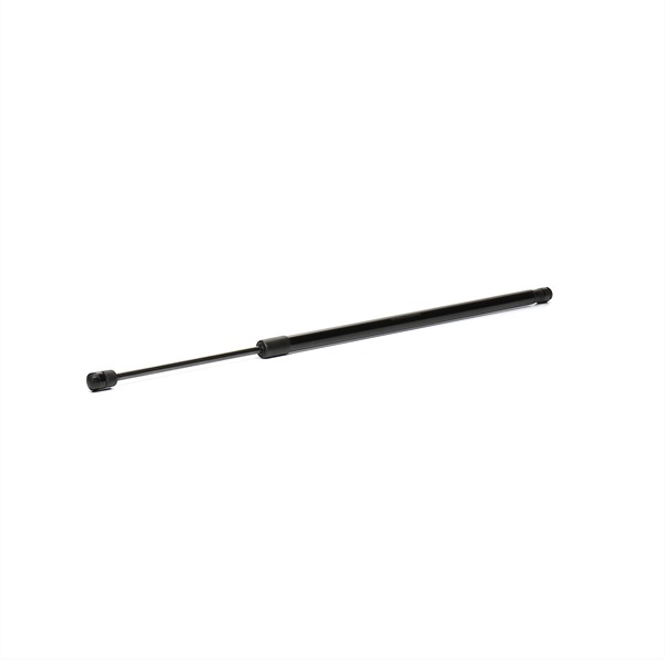RIDEX 219G0873 Heckklappendämpfer