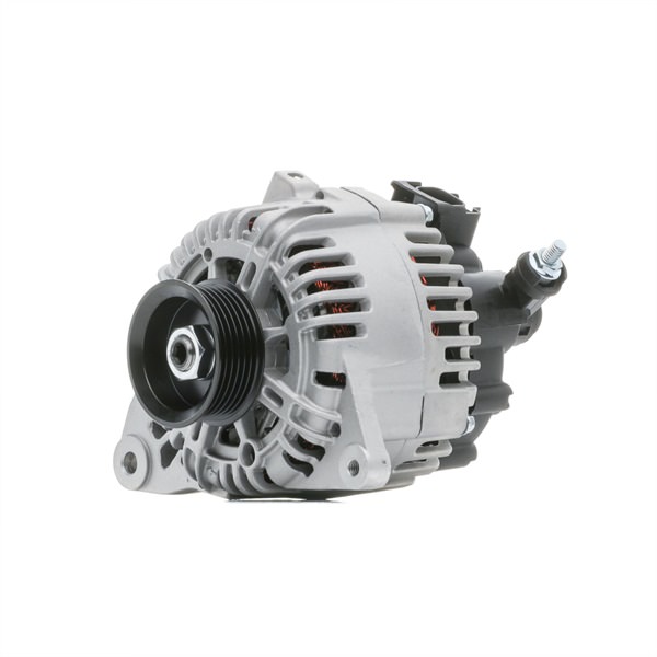 14429037 STARK SKGN-0320399