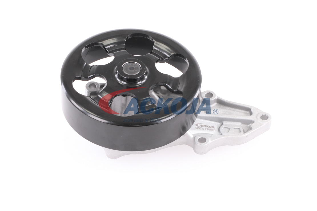 A2650016 ACKOJA Pompe à eau coût
