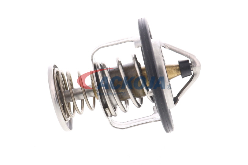 A55990002 ACKOJA Thermostat coût