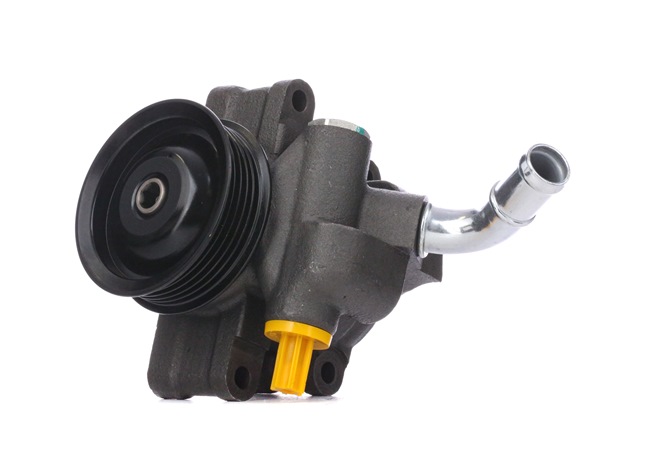 14542901 RIDEX 12H0170 Pompă servo MAZDA preț