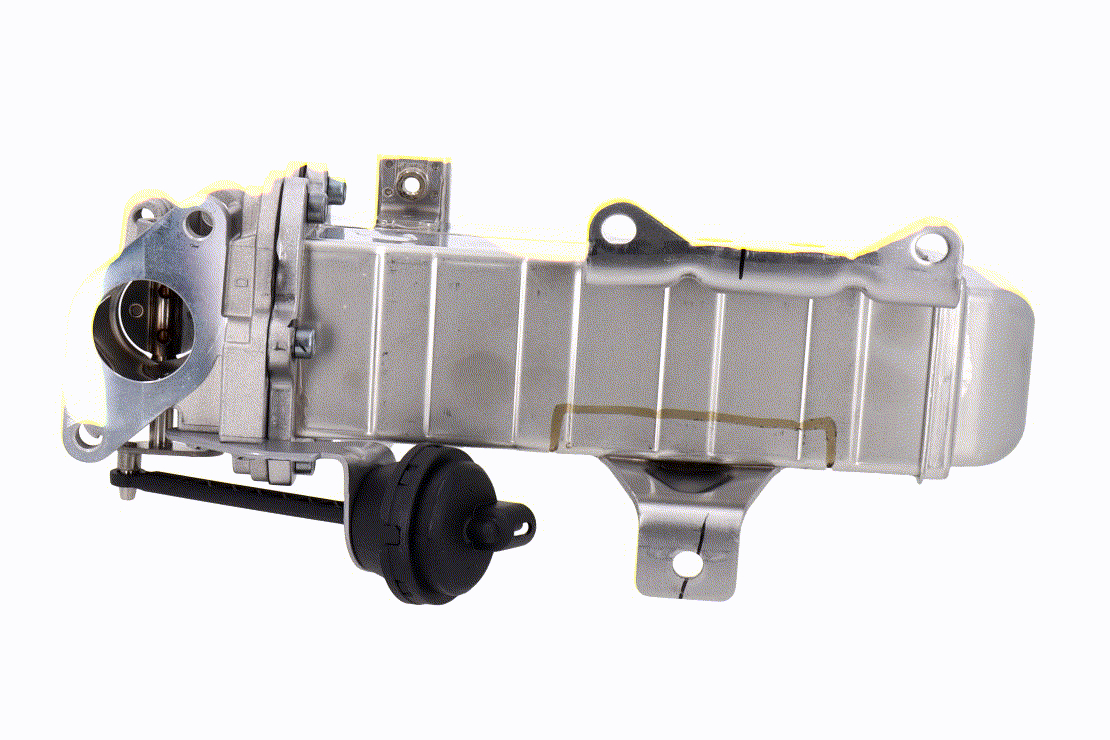 AGR Kühler 284162F320 ACKOJA A52-63-0003 HYUNDAI, KIA