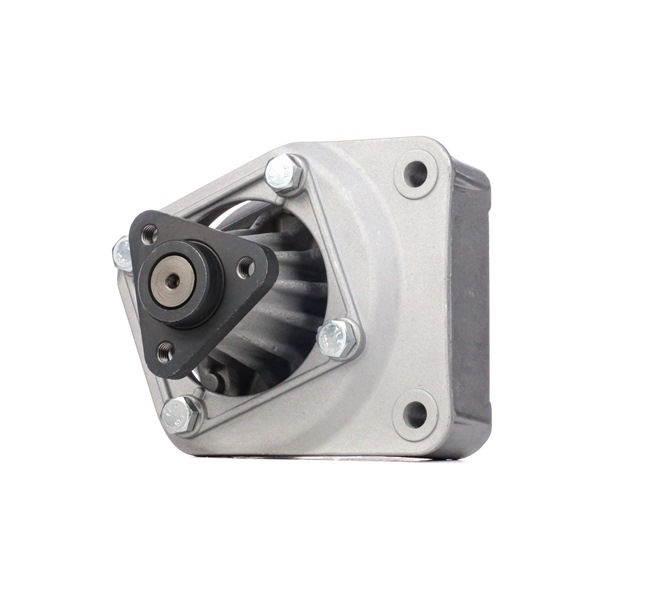 Servopumpe 12H0200 RIDEX 1141036 BMW