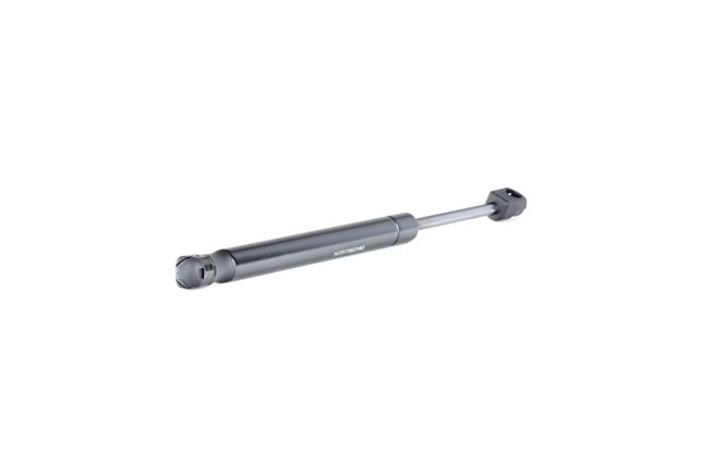 RIDEX 219G0918 Heckklappendämpfer