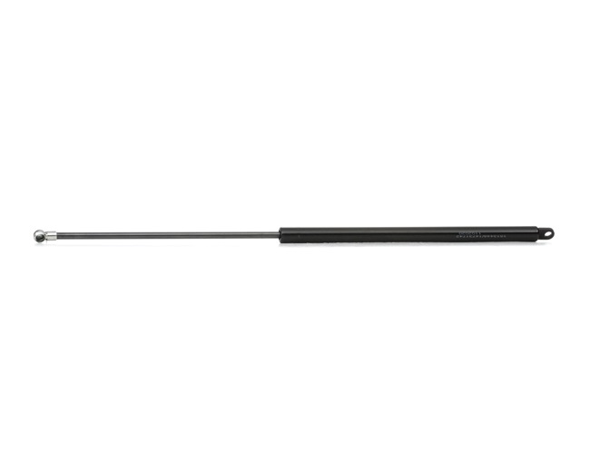 RIDEX 219G0919 Heckklappendämpfer