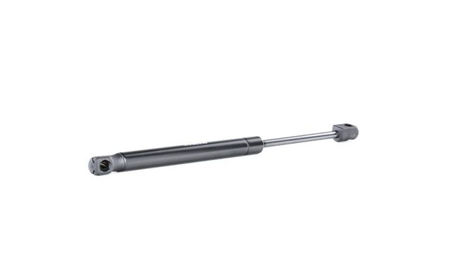 RIDEX 219G0922 Heckklappendämpfer