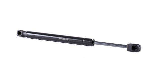Μπουκάλες πορτ μπαγκάζ RIDEX 219G0925