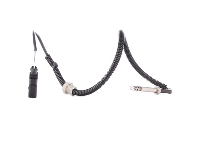 Interruptor térmico RIDEX 3938E0150