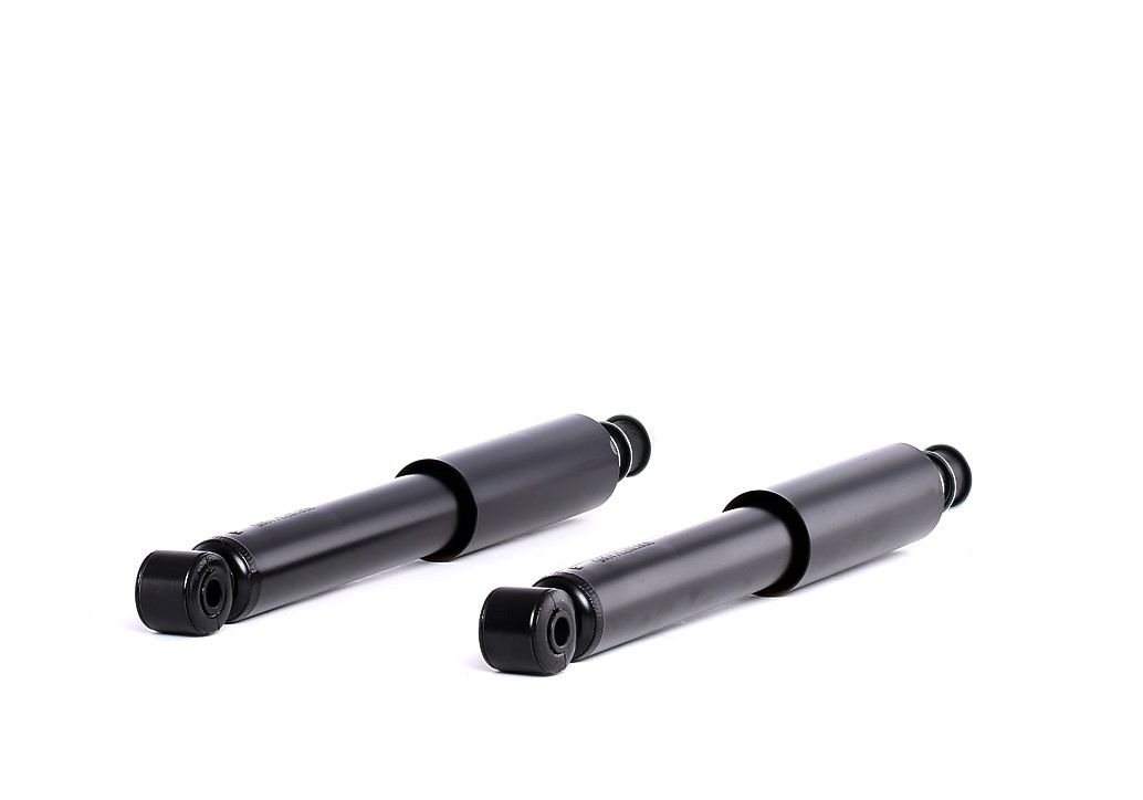 RIDEX 854S2224 Amortizor