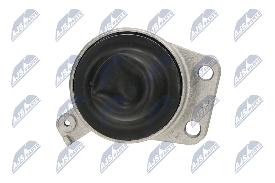 NTY ZPSMZ055 Motorlager MAZDA kosten achter links