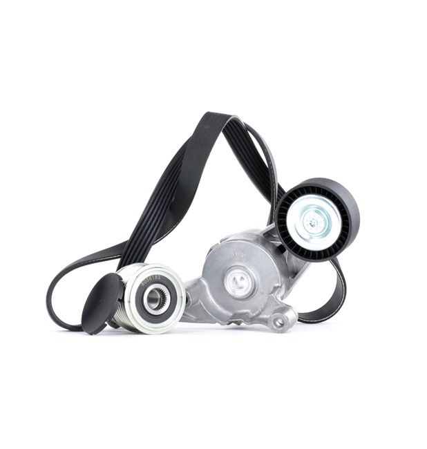 Set curea transmisie cu caneluri 6M21-10344-BA STARK SKRBS-1200063 VW, AUDI, FORD, SKODA, MITSUBISHI