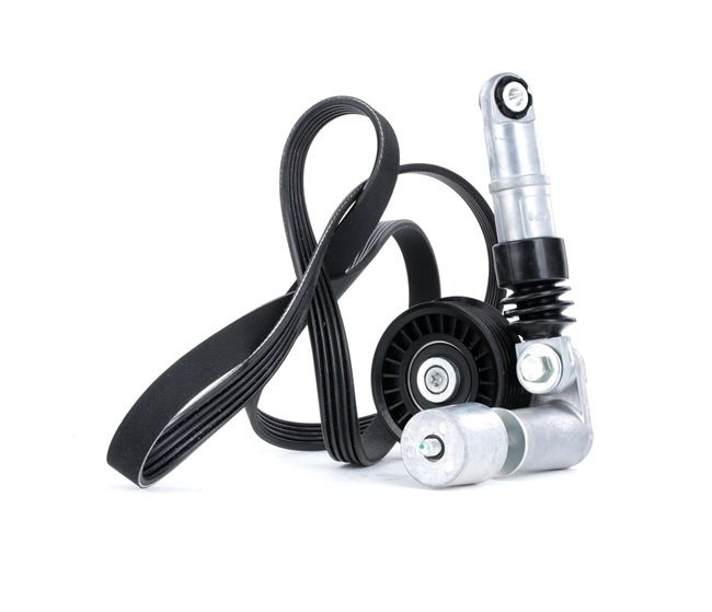 Ιμάντας δυναμό RIDEX 542R0069