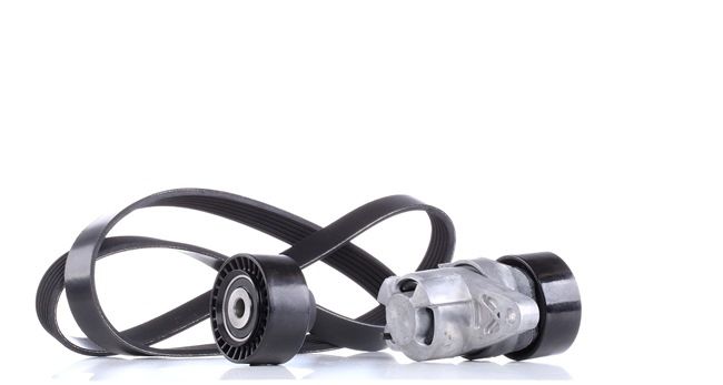 Correa de servicio RIDEX 542R0077