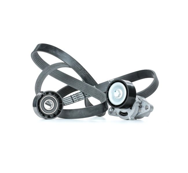Keilrippenriemensatz SKRBS-1200081 STARK 7701477527 RENAULT, DACIA, RENAULT TRUCKS