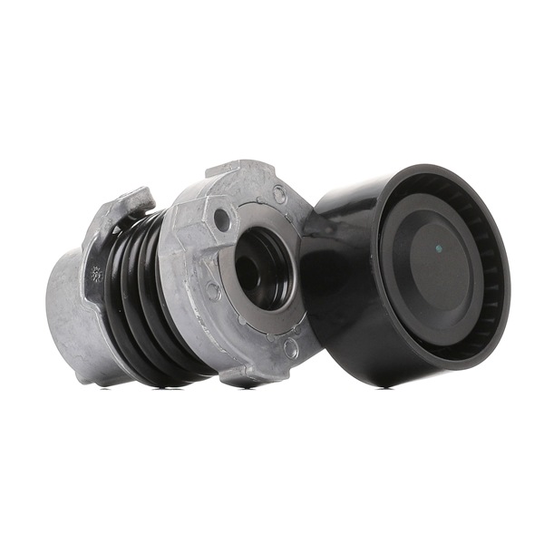 RIDEX 310T0290 Spanrol, poly V-riem