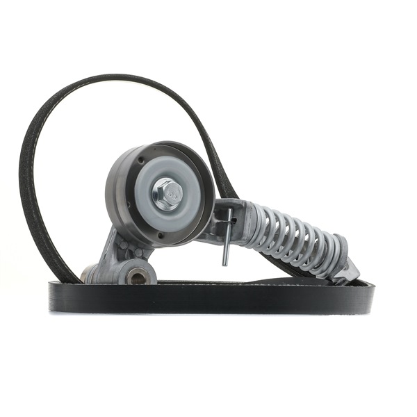 542R0121 RIDEX Kit Cinghie Poly-V | Inserisca Subito Un Ordine