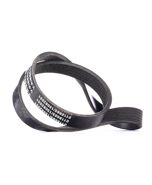 STARK SKPB-0090255 Keilrippenriemen