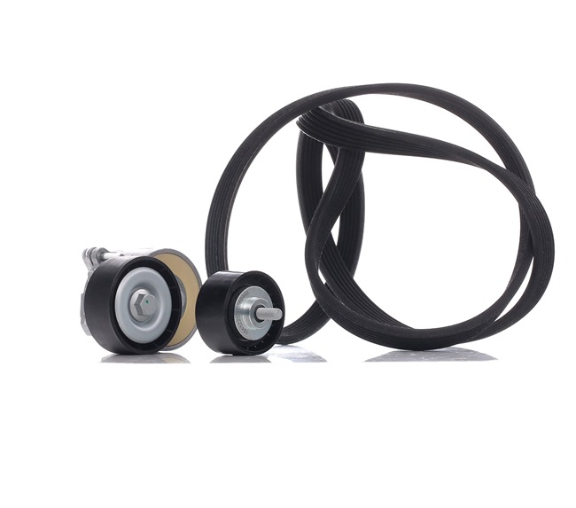 542R0175 RIDEX Комплект пистов ремък цена