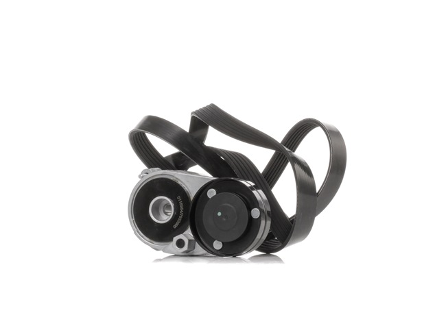 Cinghia servizi STARK SKRBS-1200180