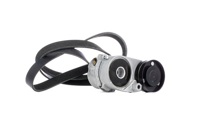 RIDEX 542R0181 Rillenriemen VW PASSAT 2.8 V6 193 PS Benzin