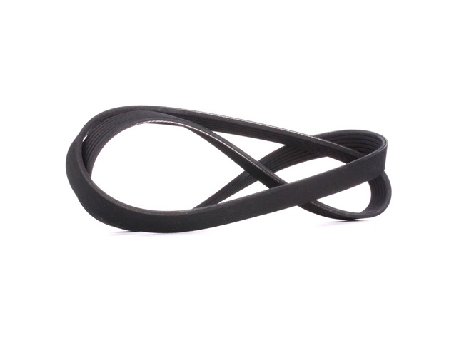 RIDEX 305P0406 Correia trapezoidal estriada