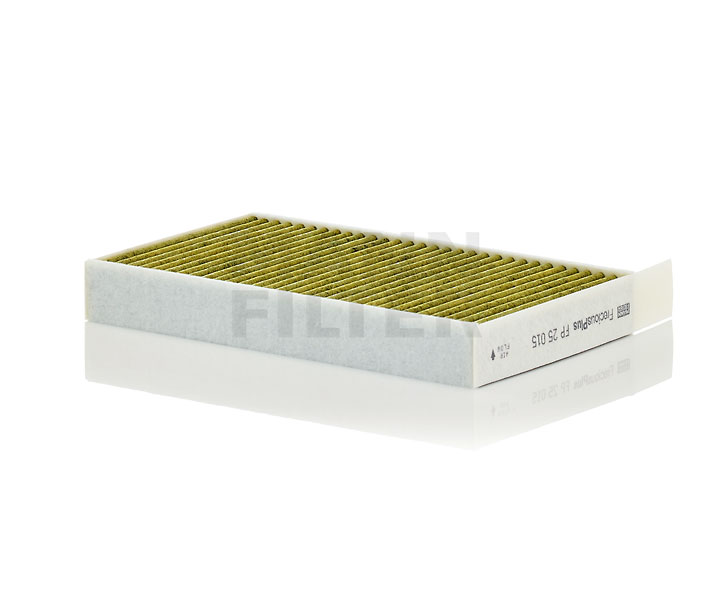 15083705 MANN-FILTER FP25015 Filtro de habitáculo TESLA precio