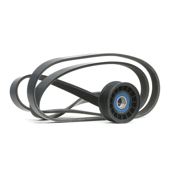 Cinghia Poly-V RIDEX 542R0217