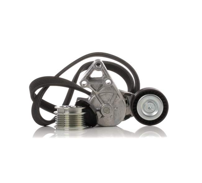 Set curea transmisie cu caneluri 6M21 10344 BA STARK SKRBS-1200233 VW, AUDI, FORD, SKODA, MITSUBISHI