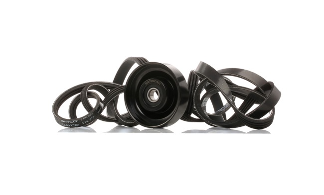 RIDEX 542R0263 Keilrippenriemensatz