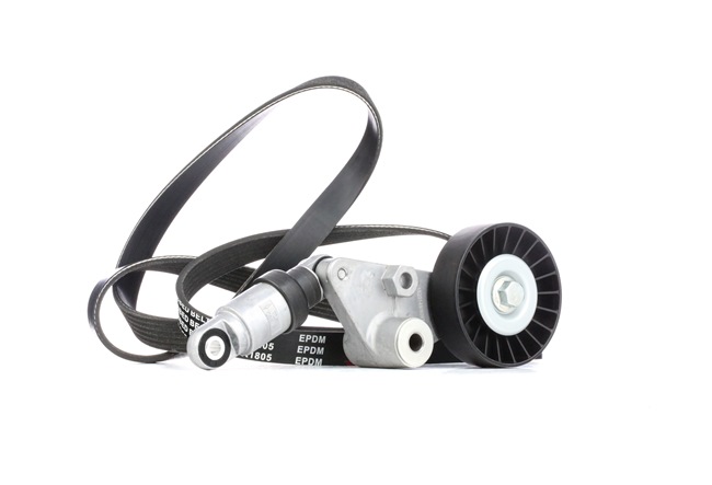 RIDEX 542R0283 Multiriem OPEL Astra G CC (T98) 2.0 DTI 16V (F08, F48) 101 Pk Diesel Y 20 DTH