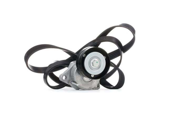 Auxiliary belt kit STARK SKRBS-1200318