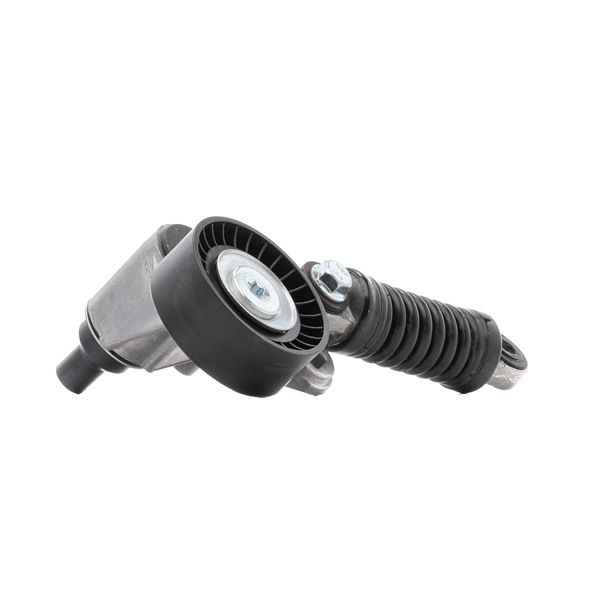 Tenditore cinghia servizi RIDEX 310T0315