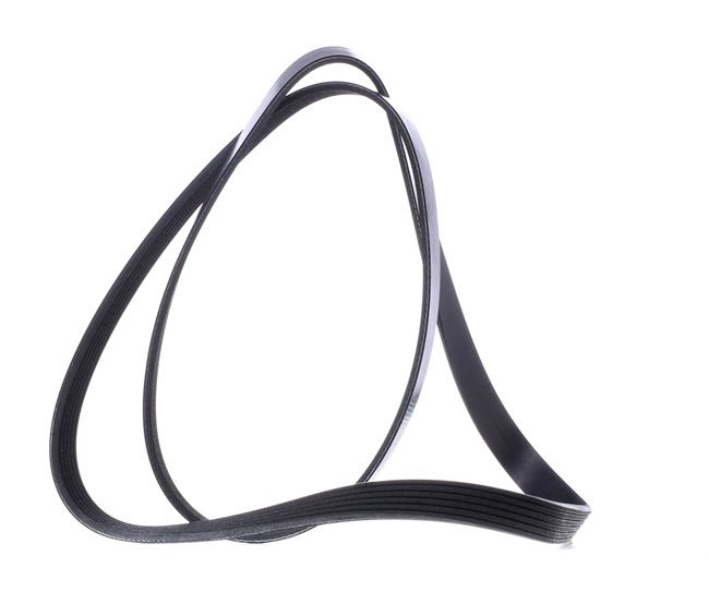 Ribbed belt RIDEX 305P0422