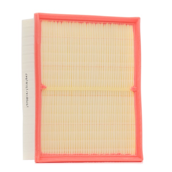 RIDEX 8A0981 Luftfilter