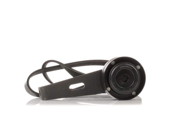 Poly v riemen kit RIDEX 542R0381