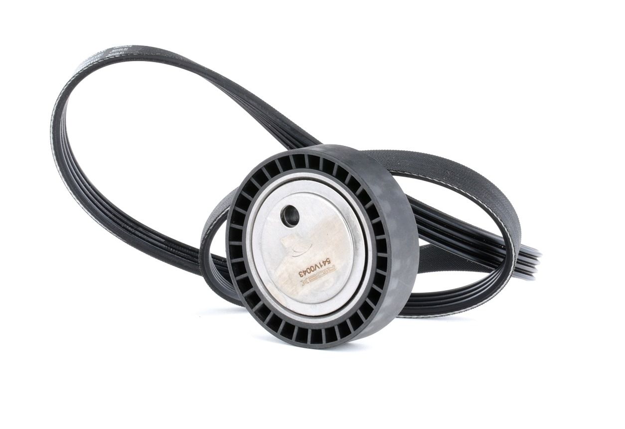 Keilrippenriemensatz 542R0427 RIDEX 90541734 BMW, OPEL, CHEVROLET, VAUXHALL