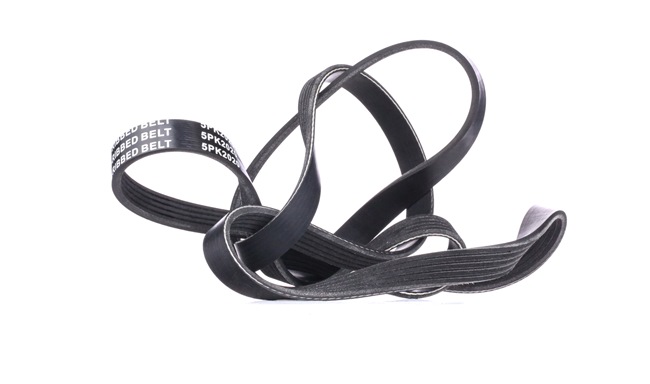 RIDEX 305P0455 Courroie Poly-V