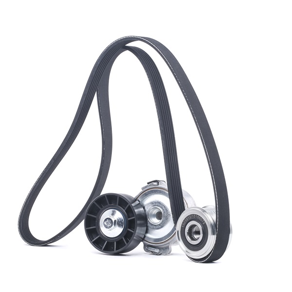 Keilrippenriemensatz 542R0500 RIDEX 30777660 OPEL, FORD, RENAULT, FIAT, PEUGEOT
