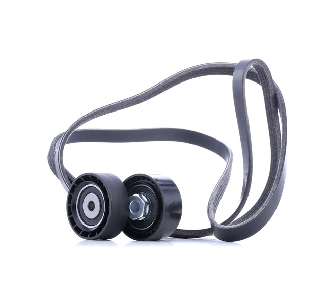Multiremsæt RIDEX 542R0501