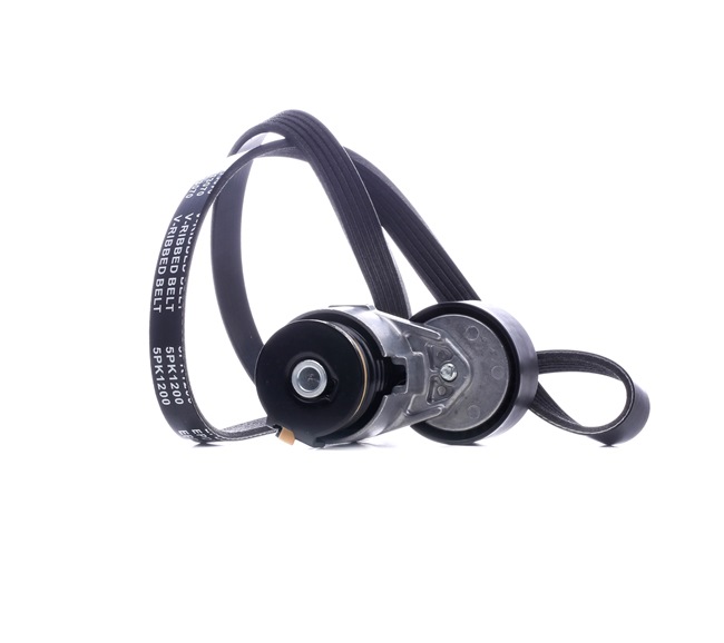 STARK SKRBS-1200508 Poly v riem set RENAULT Clio II Hatchback (BB, CB) 1.4 16V 95 Pk Benzine K4J 713